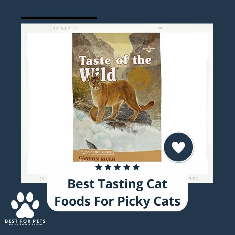 0arHYinIZ-best-tasting-cat-foods-for-picky-cats