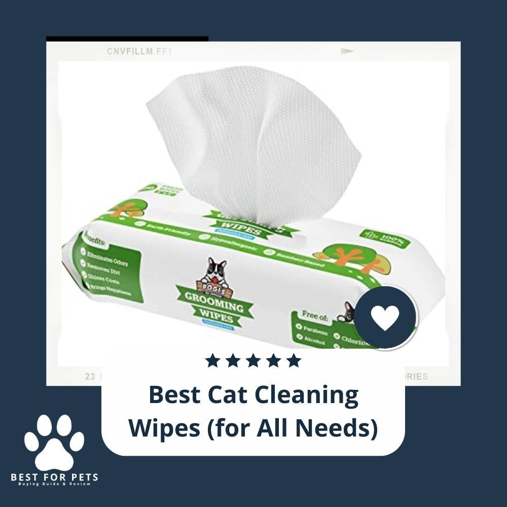 IHyjU-FlY-best-cat-cleaning-wipes-for-all-needs