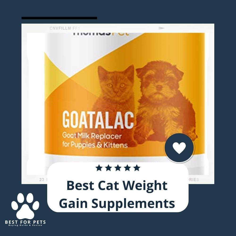 g1rHkplsg-best-cat-weight-gain-supplements