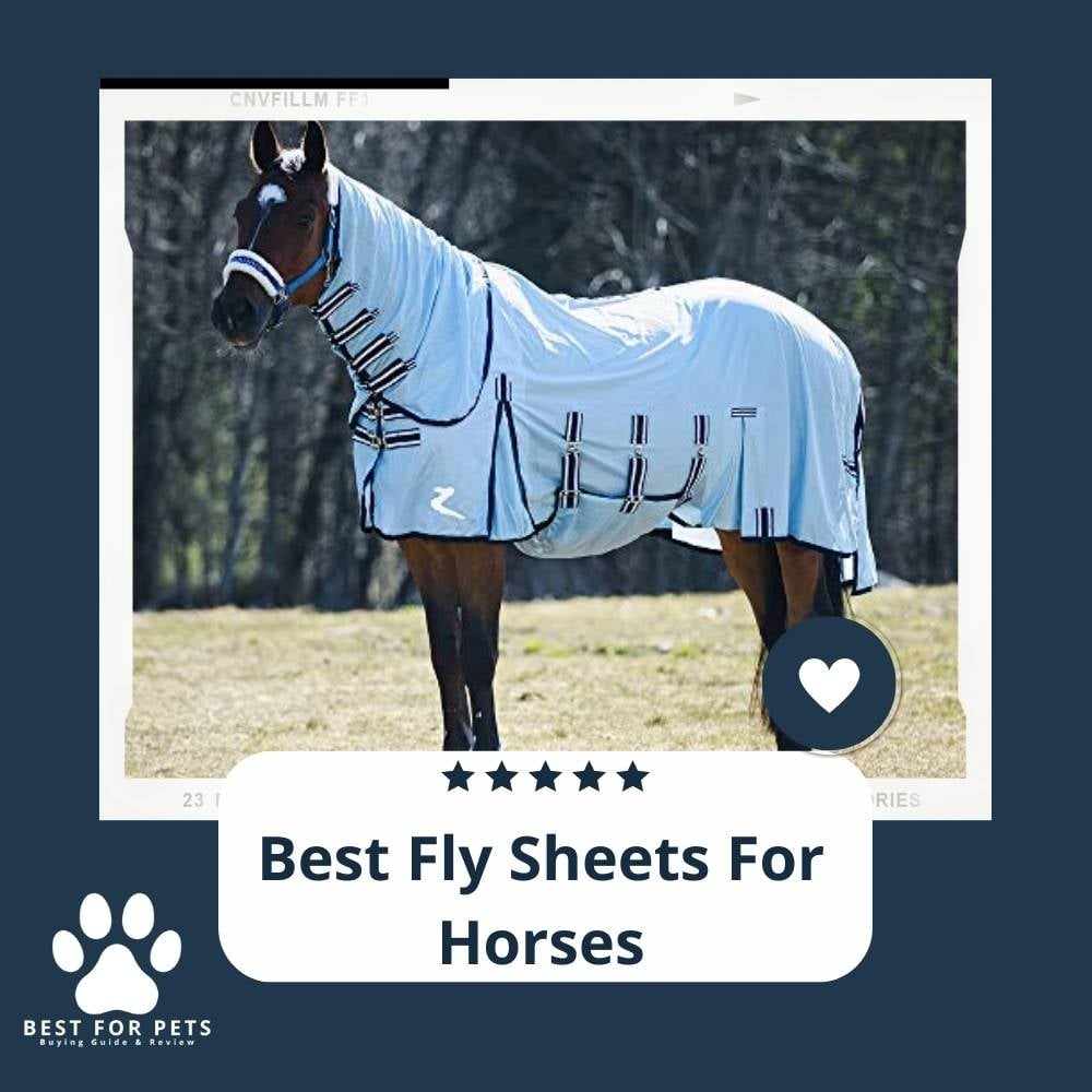 GjYSA5rod-best-fly-sheets-for-horses
