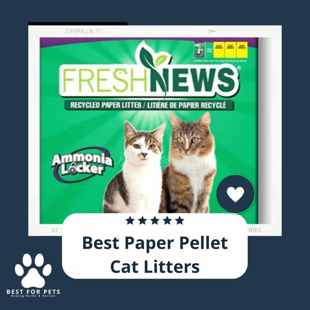 uvwTBqbSi-best-paper-pellet-cat-litters
