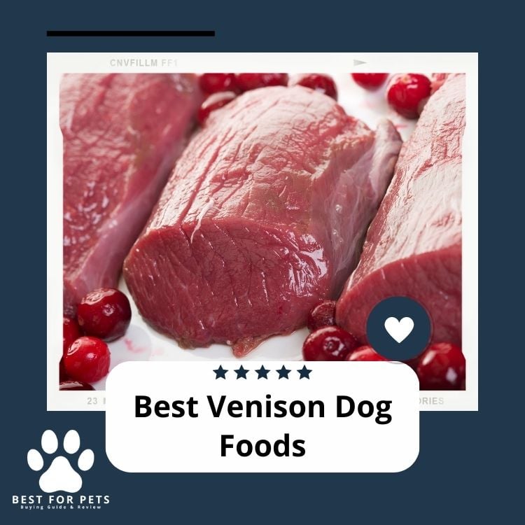 Best Venison Dog Foods
