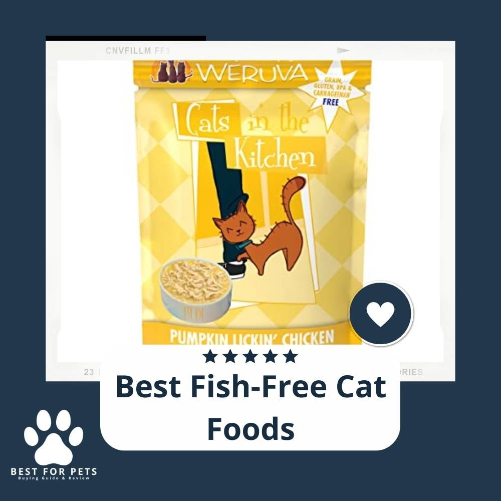 krvORCje_-best-fish-free-cat-foods