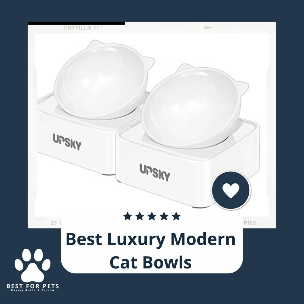 g5RO4RC_Y-best-luxury-modern-cat-bowls