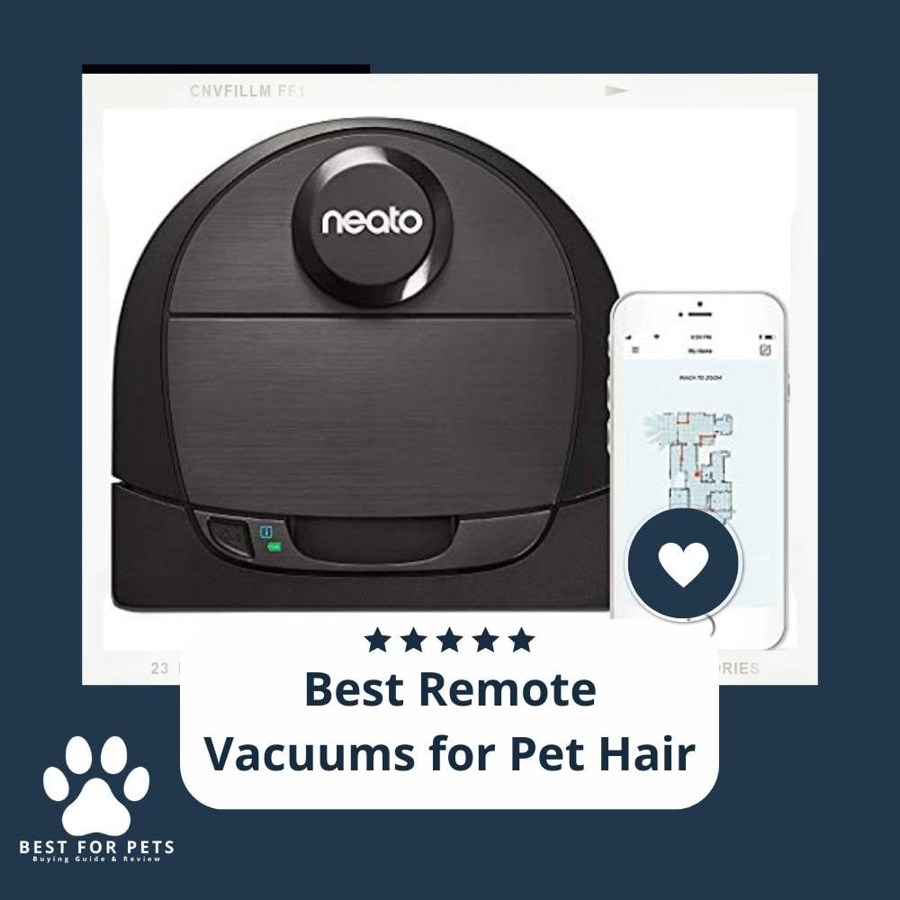 gYH90cLTq-best-remote-vacuums-for-pet-hair