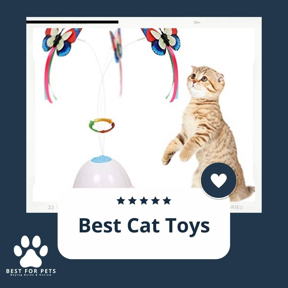 BGyy3abew-best-cat-toys