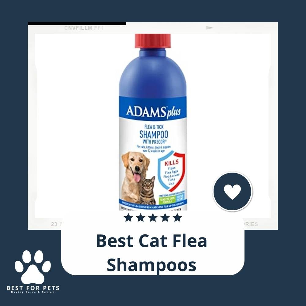 5ok37xUoR-best-cat-flea-shampoos