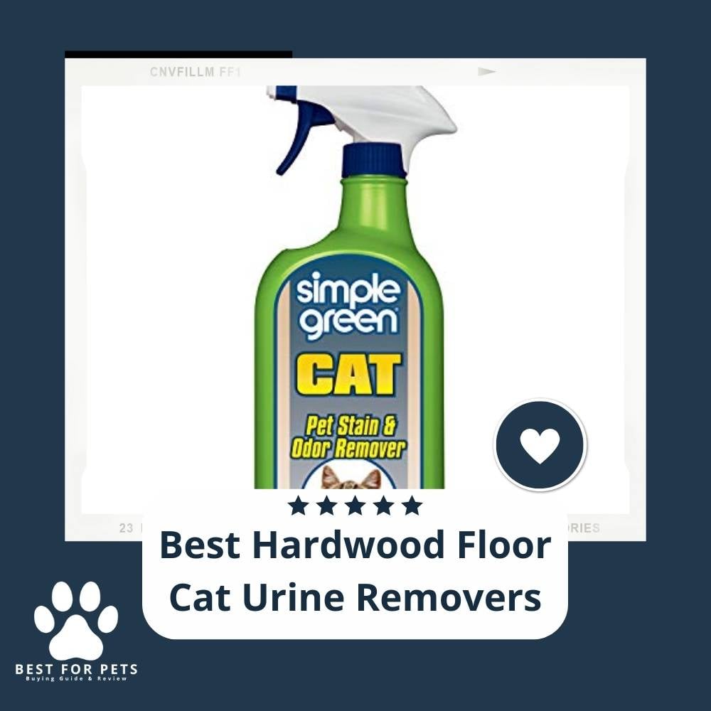 lZKyXoQII-best-hardwood-floor-cat-urine-removers
