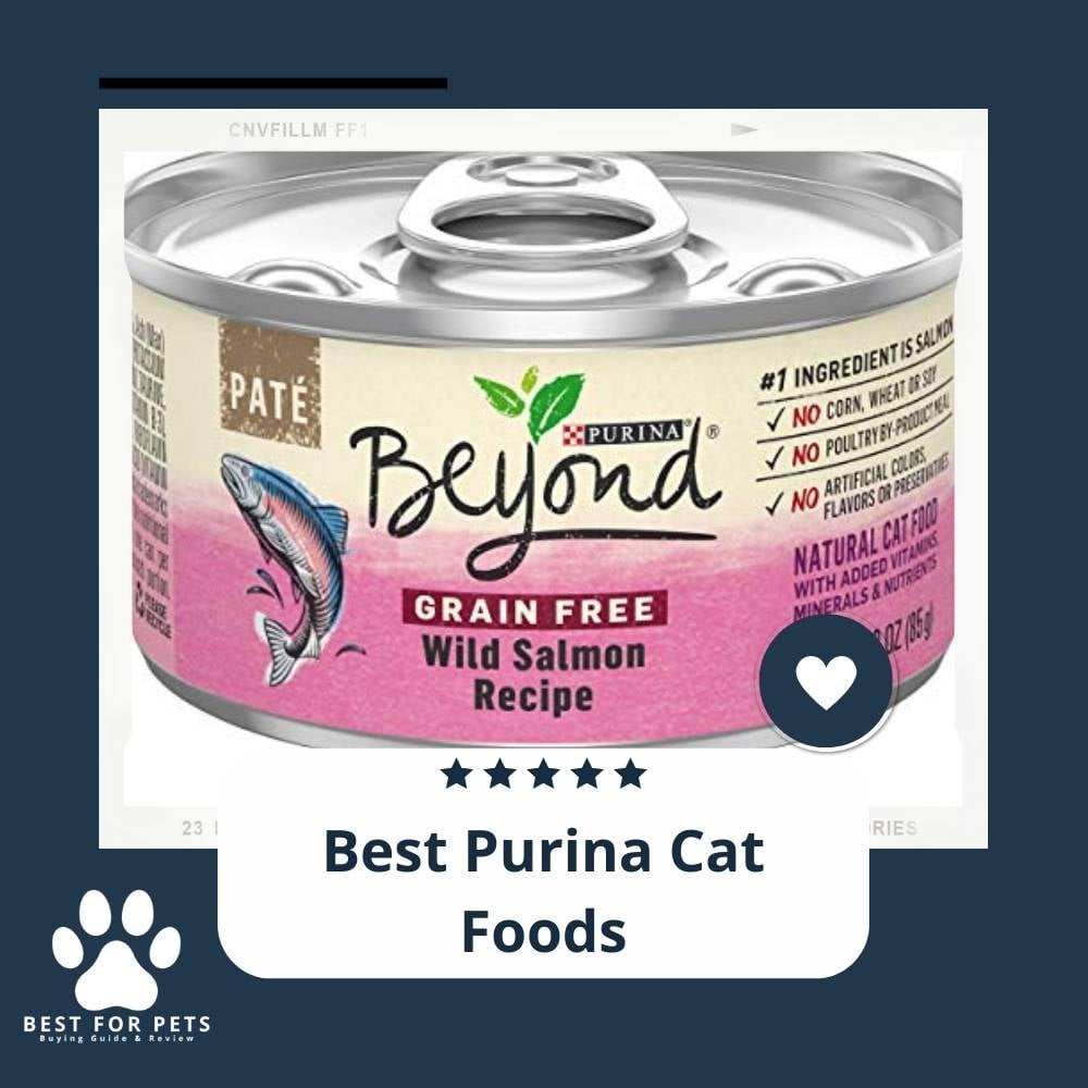 IKHqIwk6X-best-purina-cat-foods