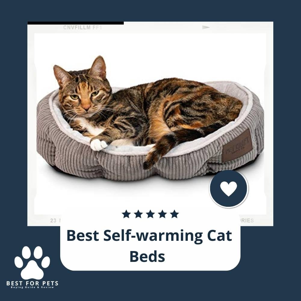 HDqBzc0f9-best-self-warming-cat-beds