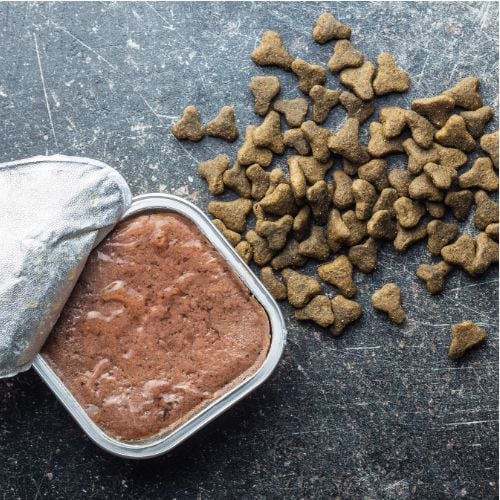 The Pros and Cons of Canned Dog Food