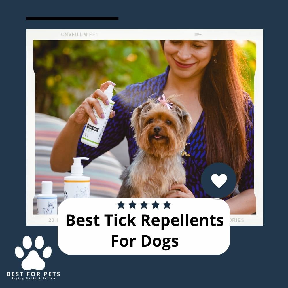 Best Tick Repellents For Dogs