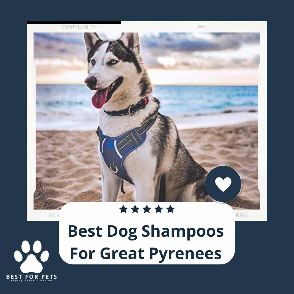 AK2y5DggF-best-dog-shampoos-for-great-pyrenees