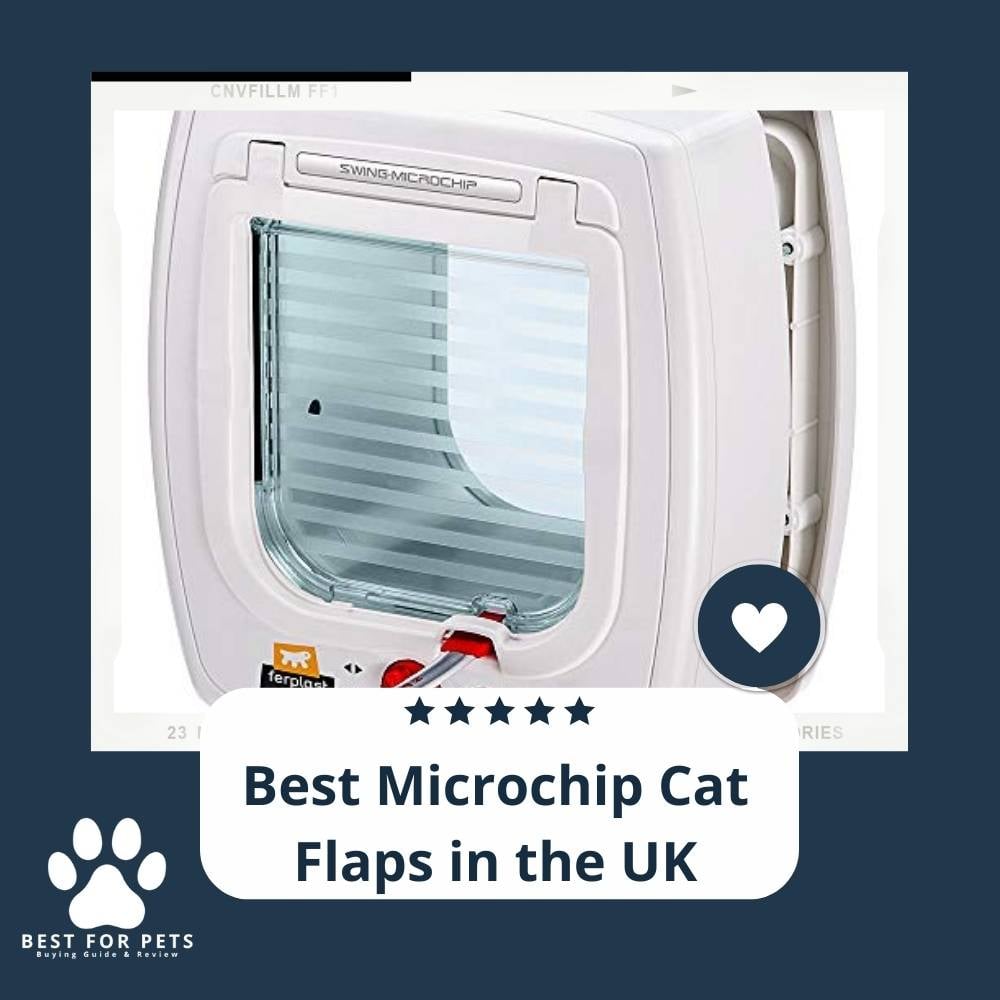 9yVlC3cbr-best-microchip-cat-flaps-in-the-uk