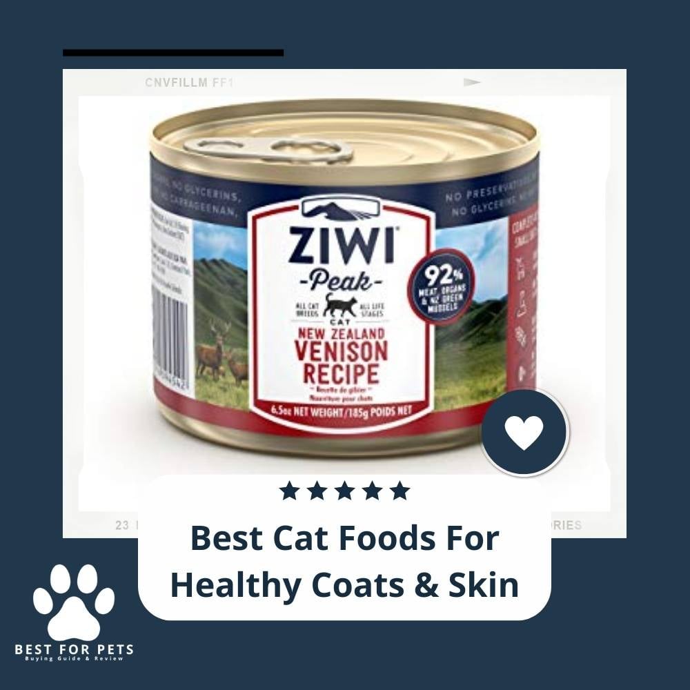 ctRLJhJUc-best-cat-foods-for-healthy-coats-and-skin
