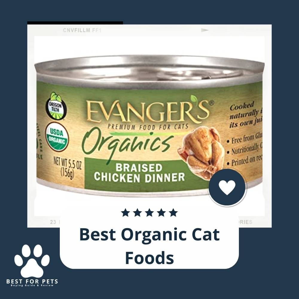 zpVgtCZNV-best-organic-cat-foods