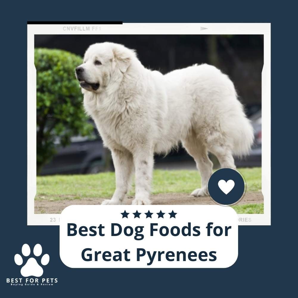vrab4ciUa-best-dog-foods-for-great-pyrenees