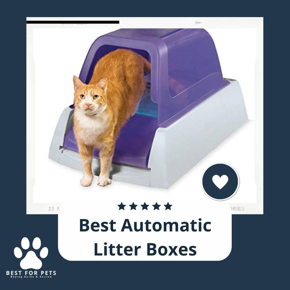 E6TuqSXPN-best-automatic-litter-boxes
