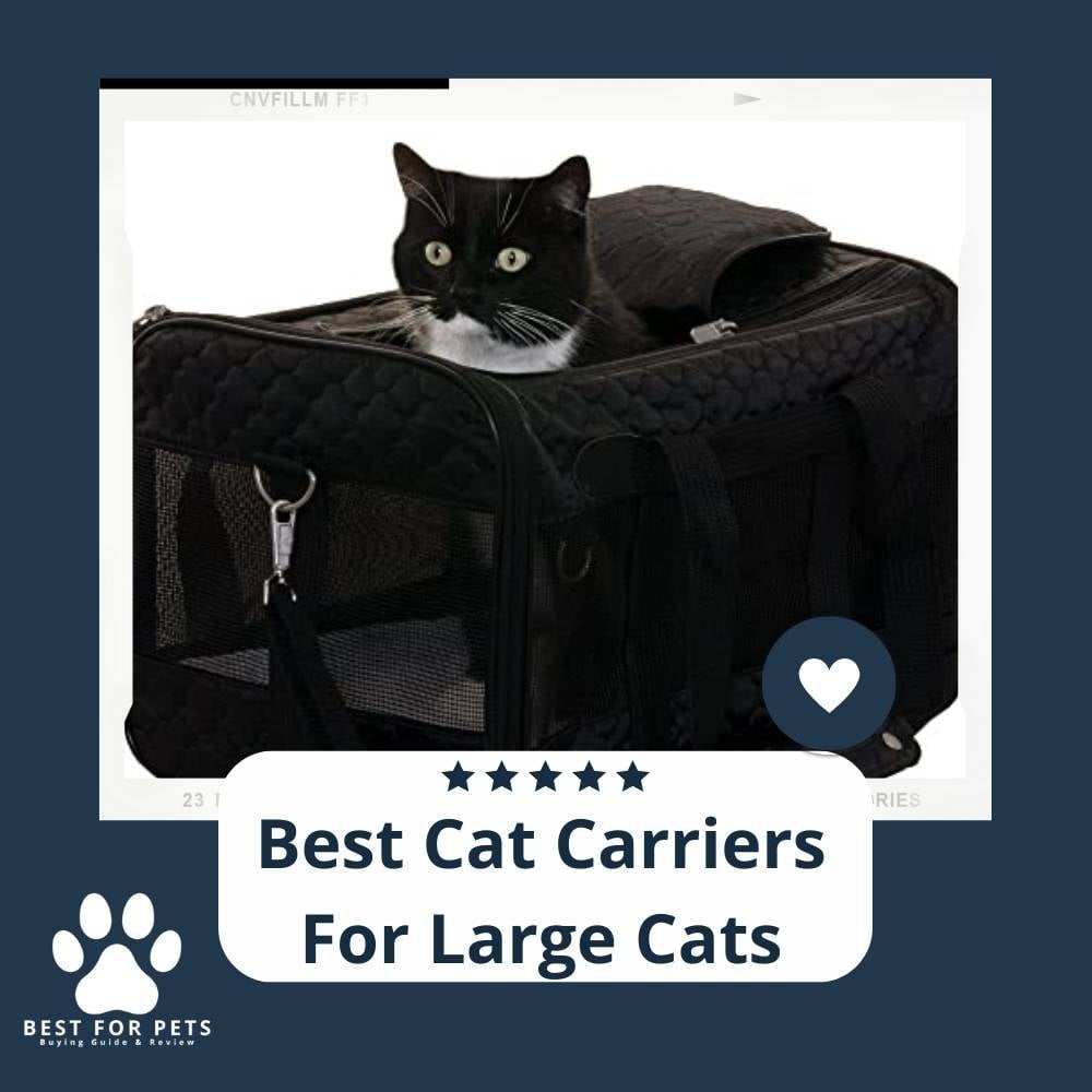 AEYZ-Jr4x-best-cat-carriers-for-large-cats