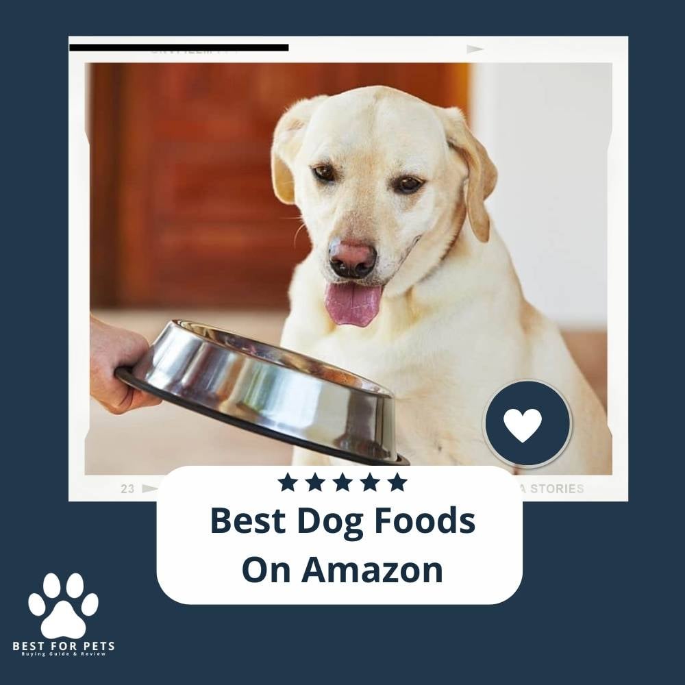 w2ZzfKylY-best-dog-foods-on-amazon
