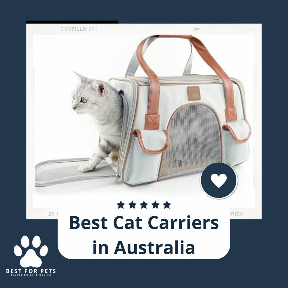 x9ibkAI9O-best-cat-carriers-in-australia