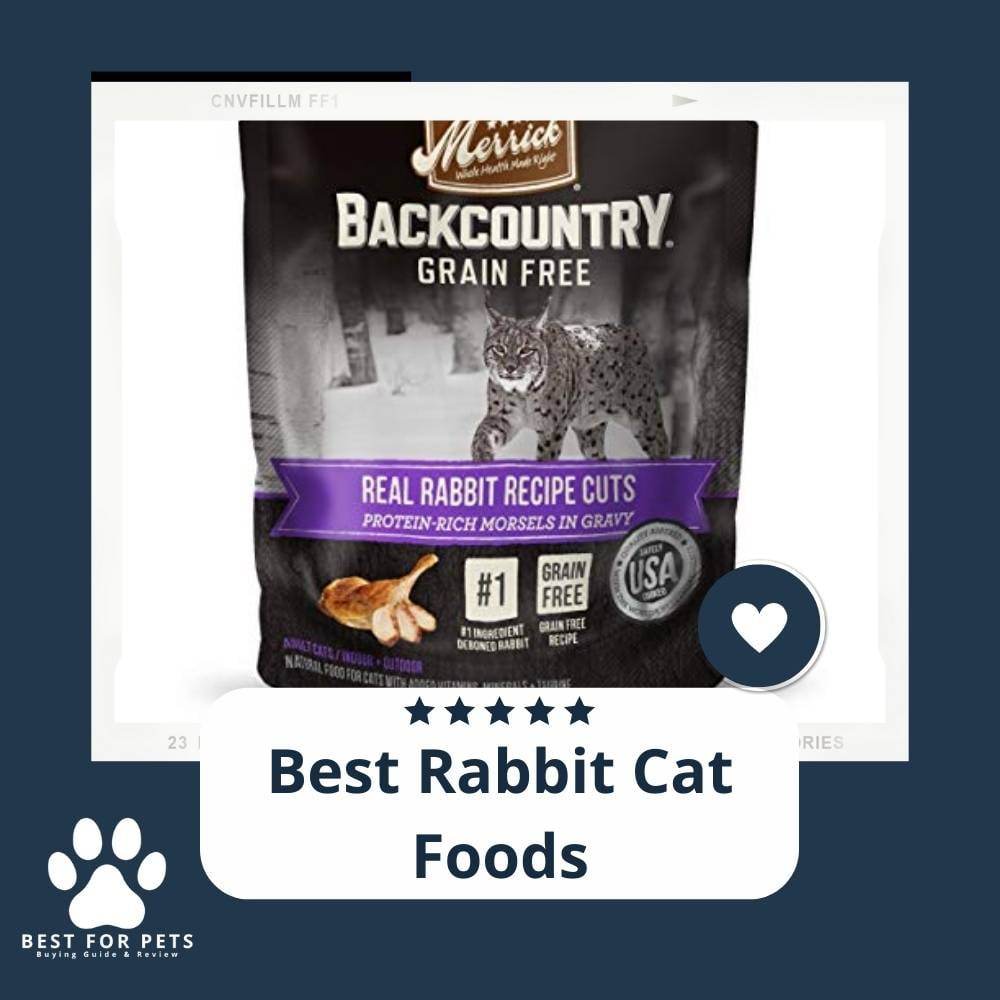 QL55k1zTA-best-rabbit-cat-foods