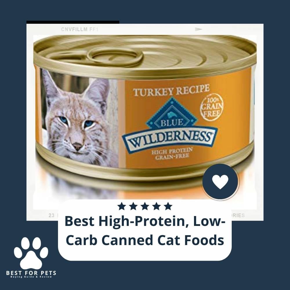 cURRjVFkF-best-high-protein-low-carb-canned-cat-foods
