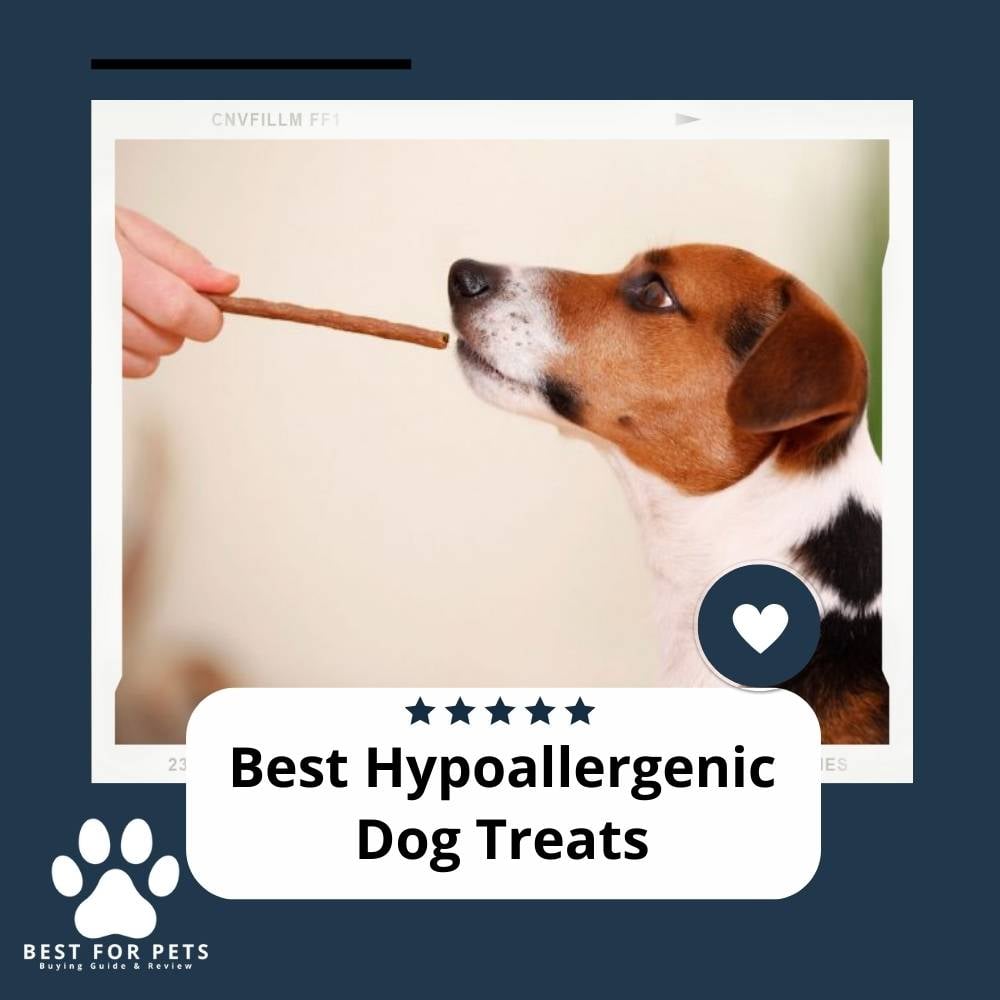 Image showcasing The 9 Best Hypoallergenic Dog Treats - BestForPets.org