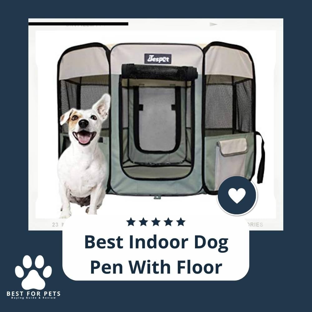 CJxk-WwwN-best-indoor-dog-pen