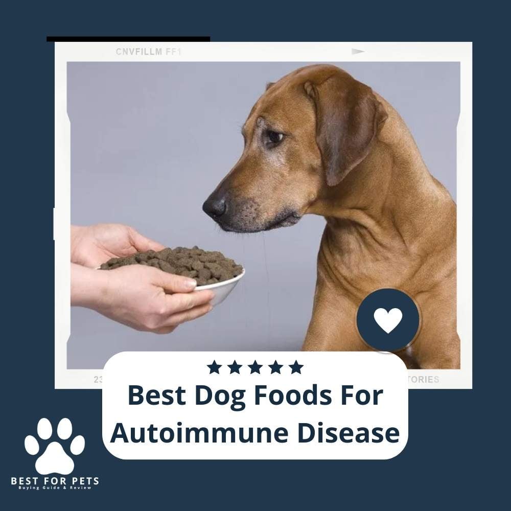 UUKIiHlWs-best-dog-foods-for-autoimmune-disease