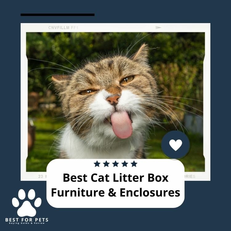 Best Cat Litter Box Furniture & Enclosures