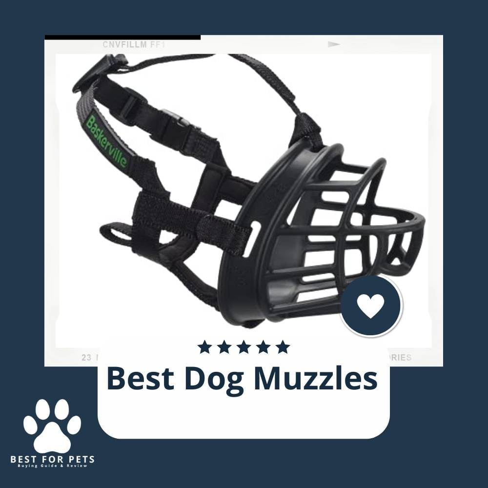 y8MfZofYe-best-dog-muzzles