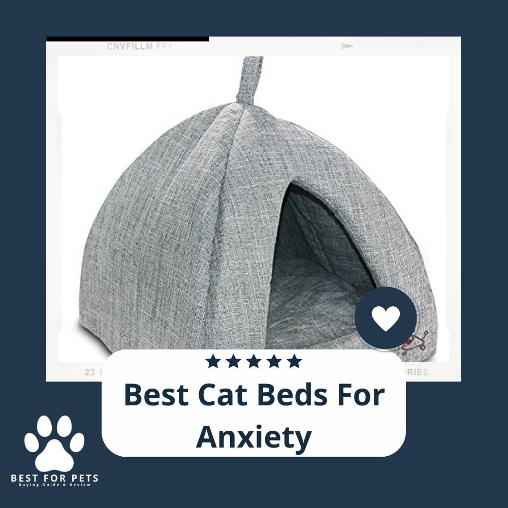 D1PzfF2Pk-best-cat-beds-for-anxiety
