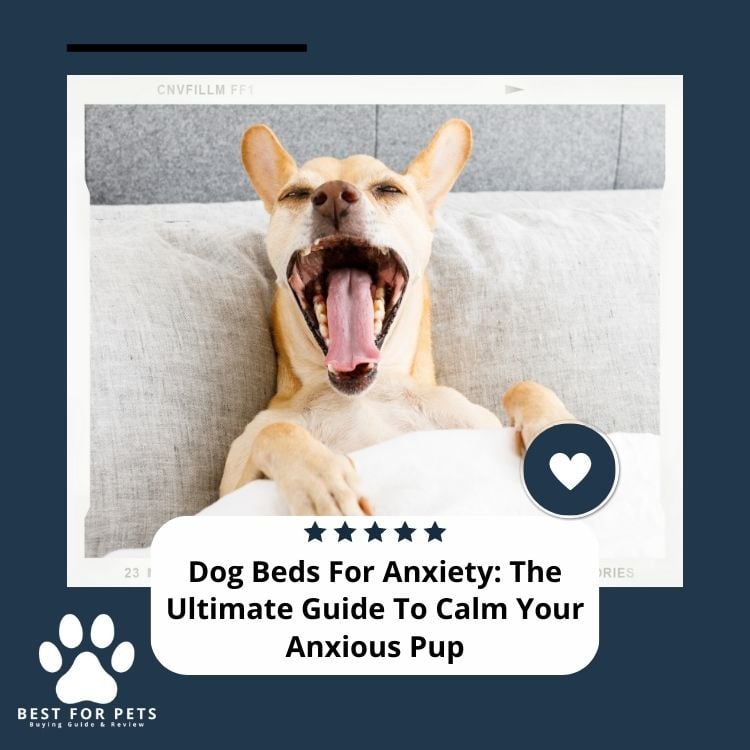 Dog Beds For Anxiety The Ultimate Guide To Calm Your Anxious Pup