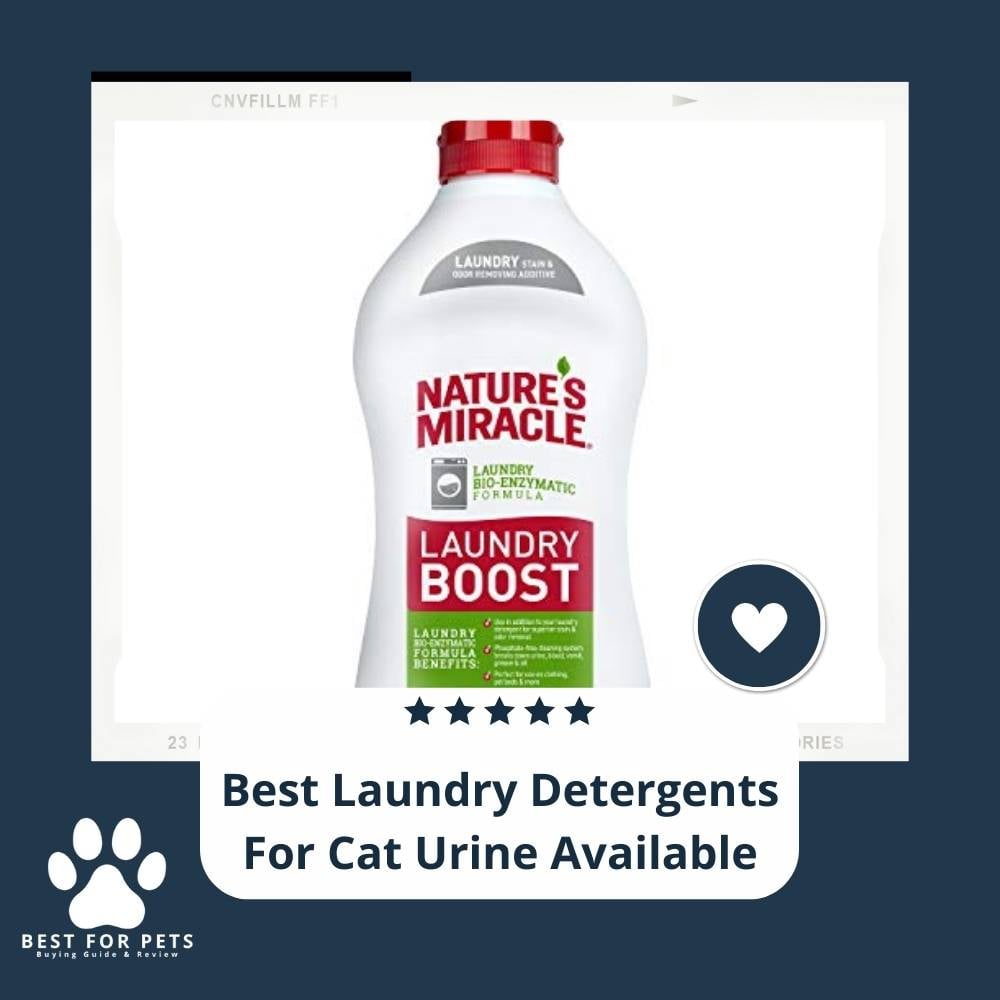 eFtgA3TLD-best-laundry-detergents-for-cat-urine-available