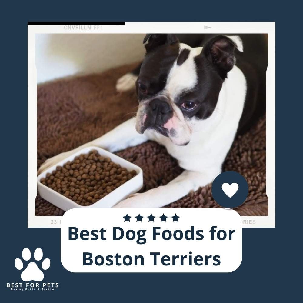 GN1ernjws-best-dog-foods-for-boston-terriers