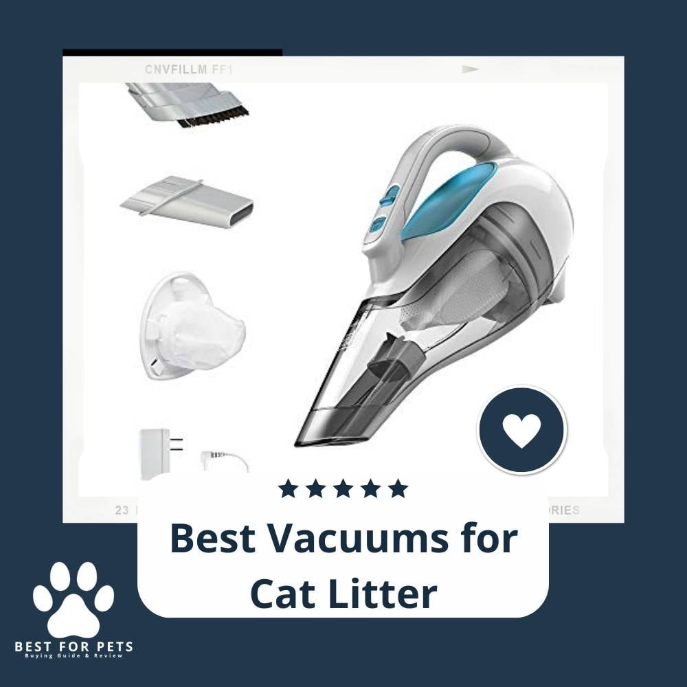 Vp6QO_D8C-best-vacuums-for-cat-litter