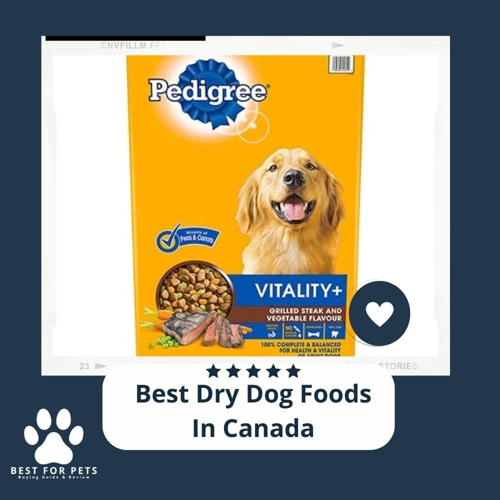 npsk_R4KX-best-dry-dog-foods-in-canada