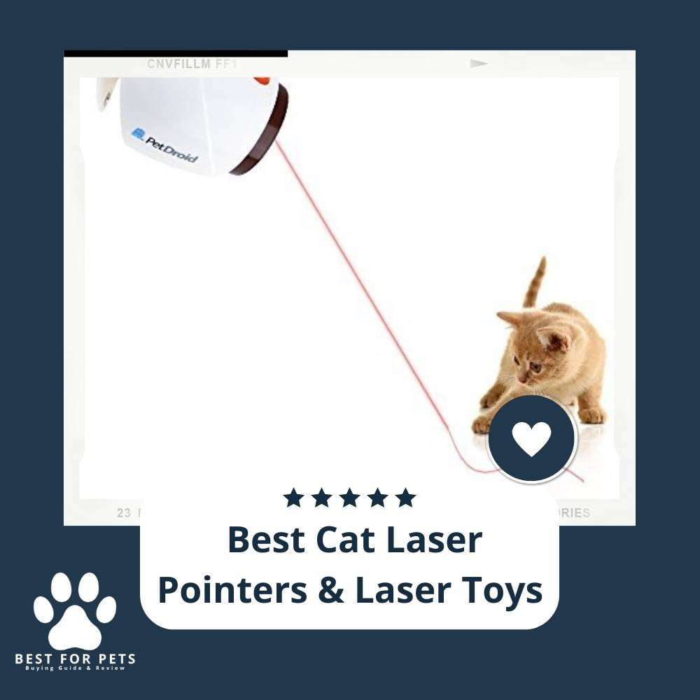 0Krl7PxfJ-best-cat-laser-pointers-and-laser-toys