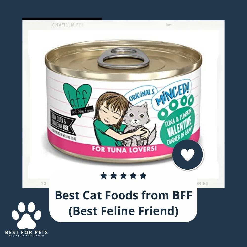 gG5xWeHPZ-best-cat-foods-from-bff-best-feline-friend