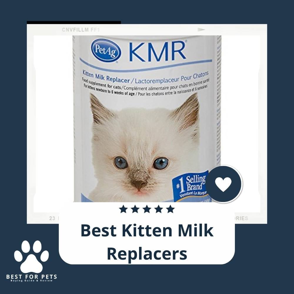 98HzP2yyK-best-kitten-milk-replacers