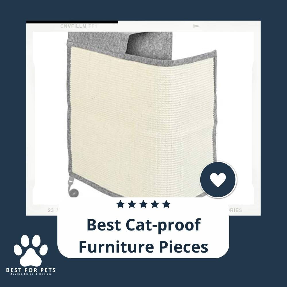 a3-SSAevR-best-cat-proof-furniture-pieces