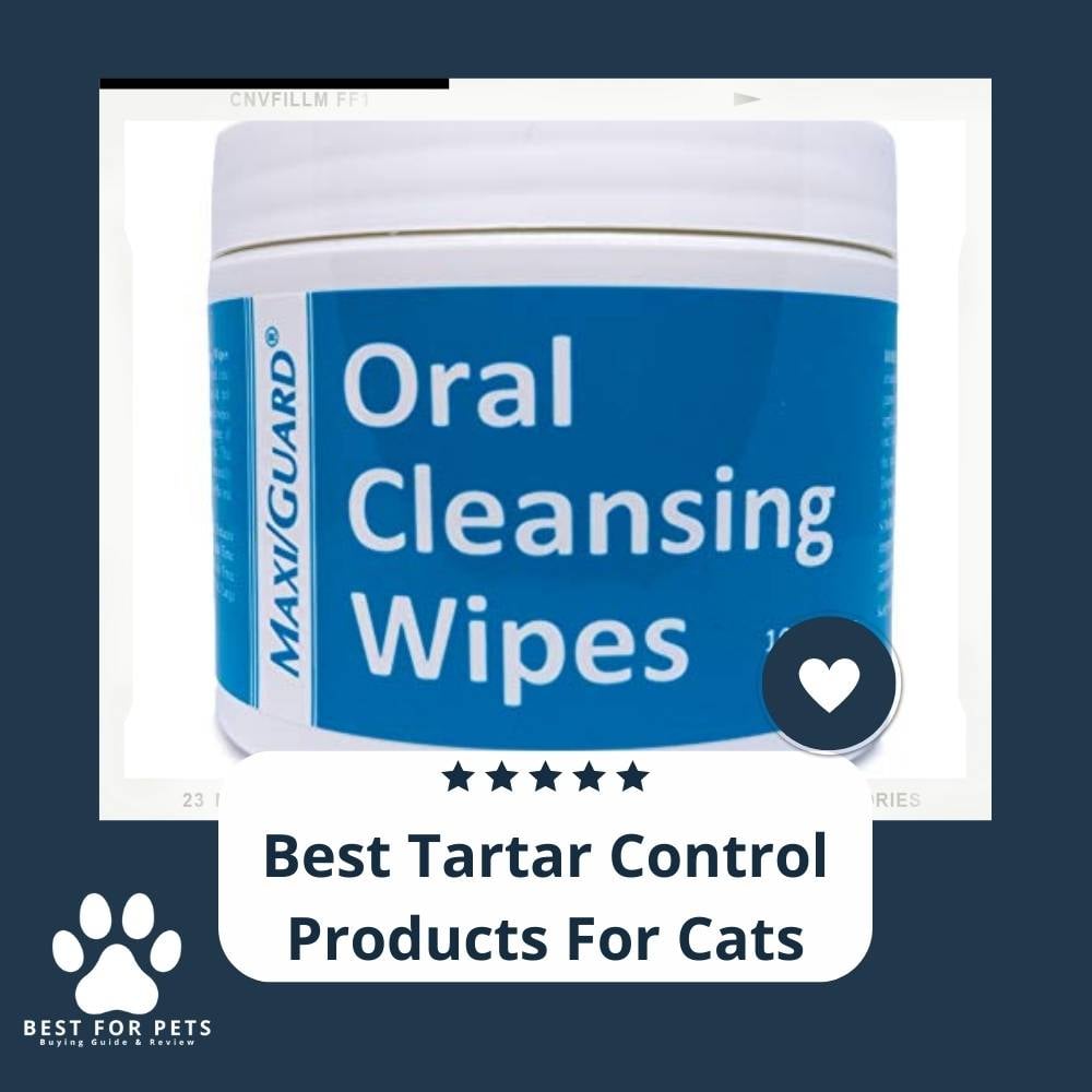 zbSuCWzs1-best-tartar-control-products-for-cats