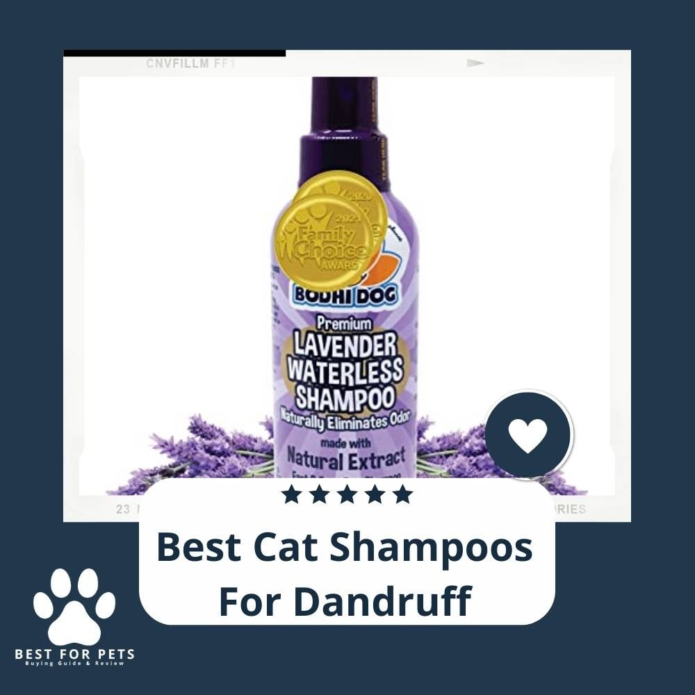 Drzz94e9m-best-cat-shampoos-for-dandruff