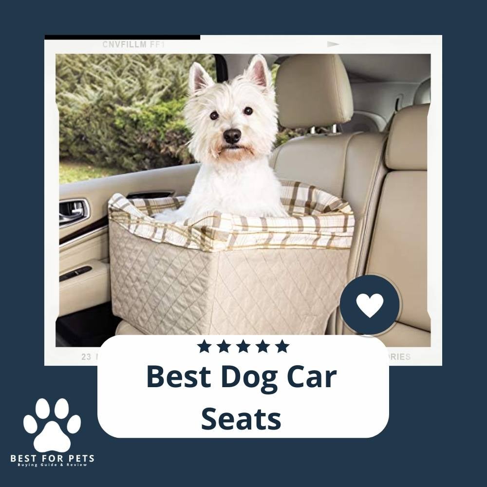Bvr1Ut3cw-best-dog-car-seats