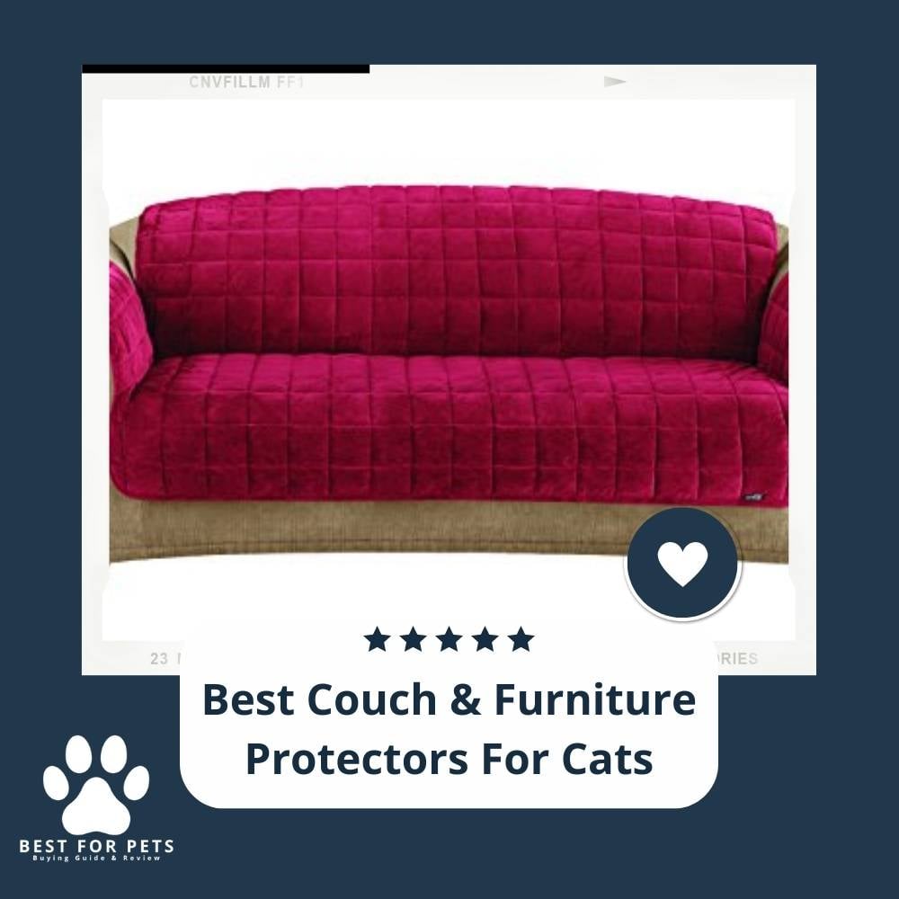 31O1rW8C0-best-couch-and-furniture-protectors-for-cats
