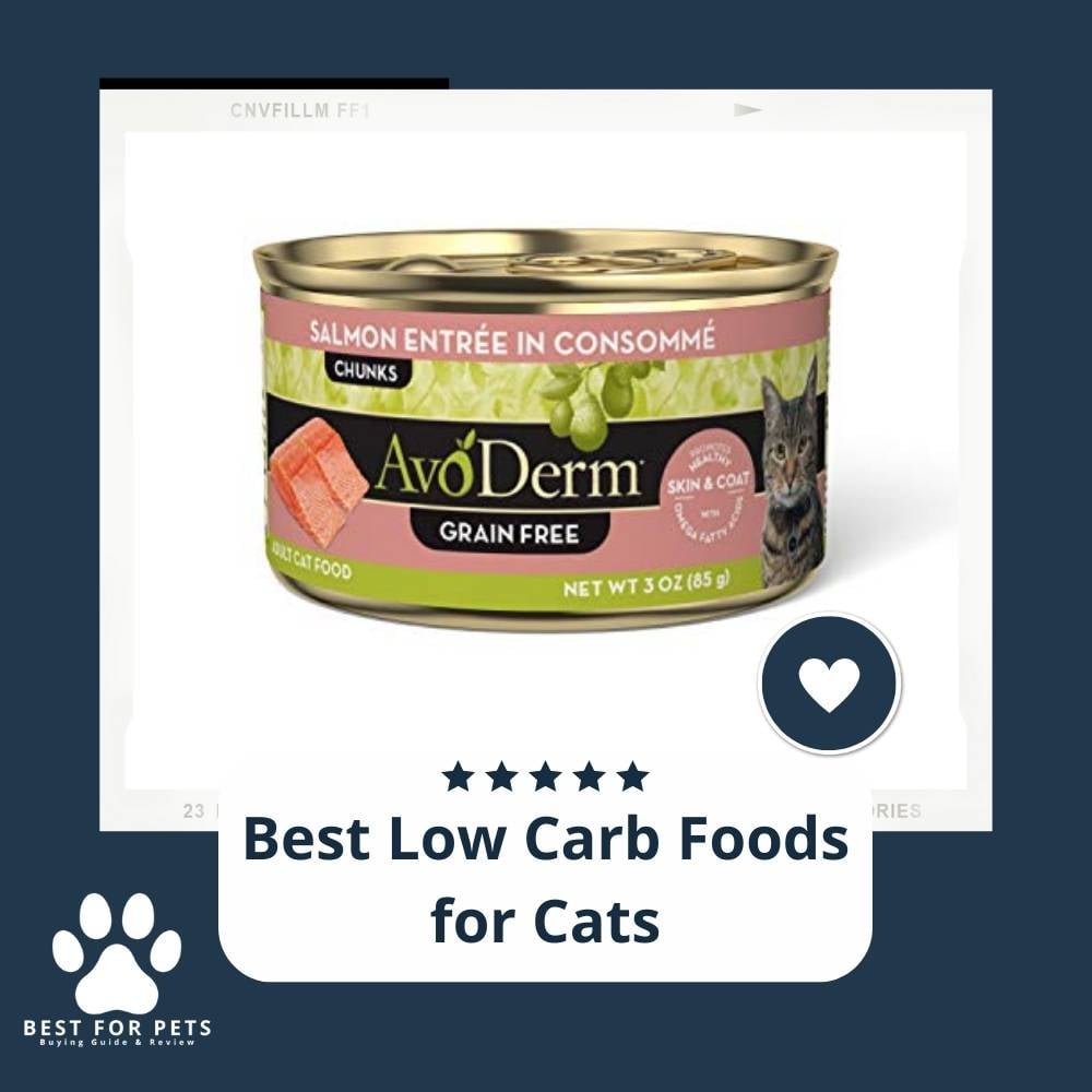 YwG09pa1y-best-low-carb-foods-for-cats