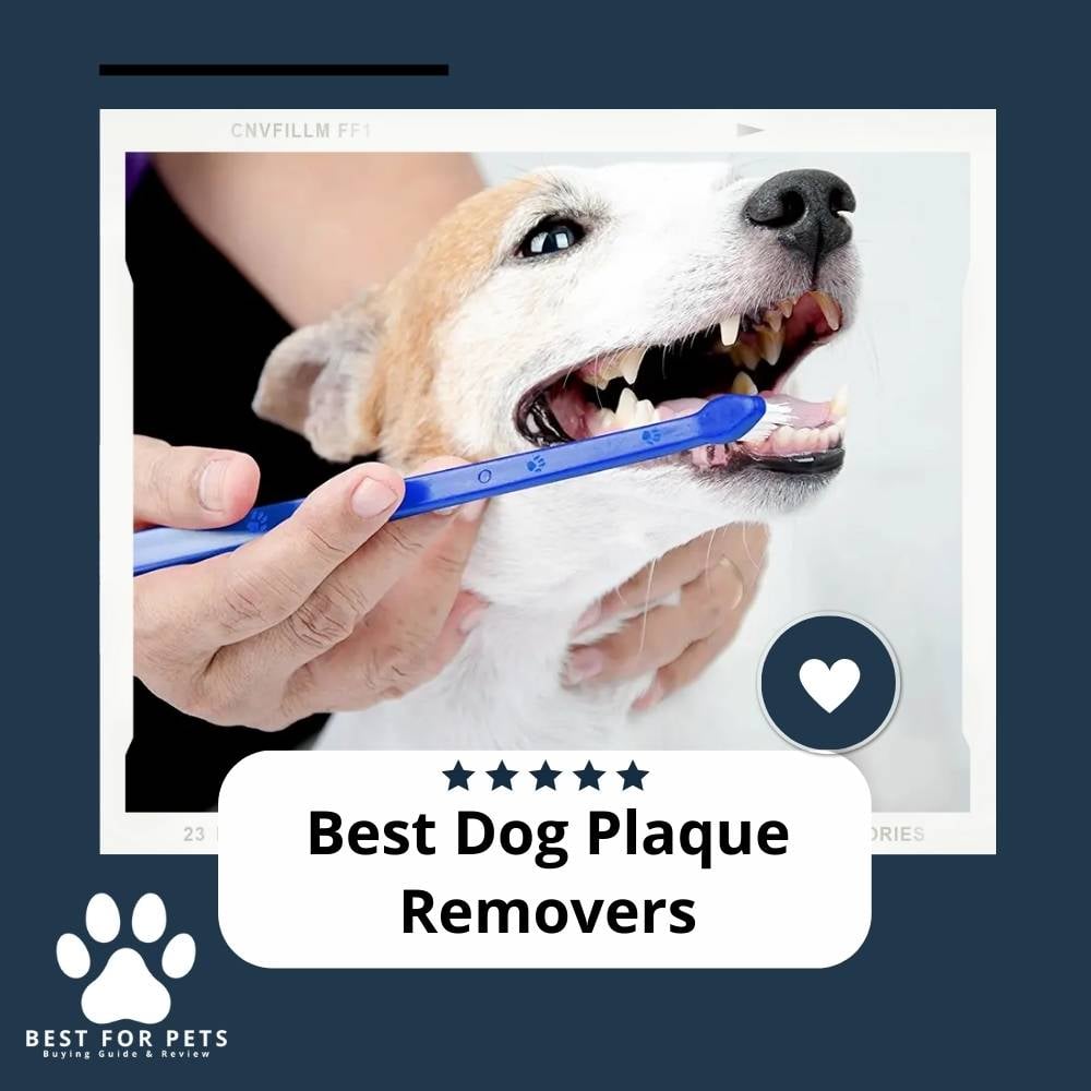 Best Dog Plaque Removers - Dog Dental Care Products