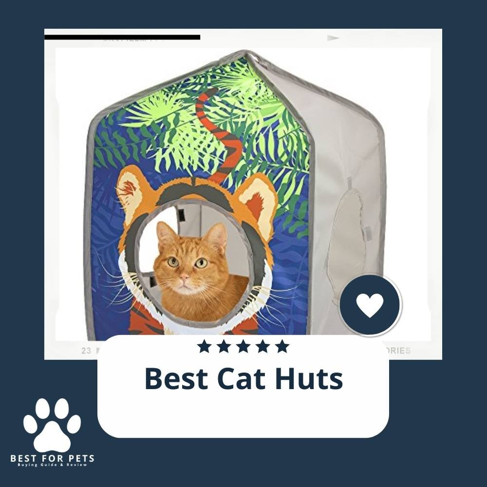 rwrTd3G8r-best-cat-huts