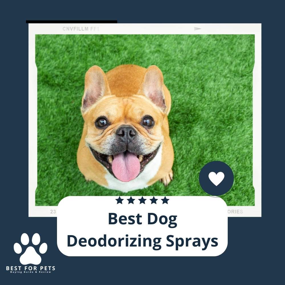 F3wuvMuuy-best-dog-deodorizing-sprays